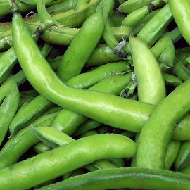 Ankštinės pupelės