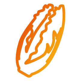 Zaļumu grilēšana Zaļumu grilēšana