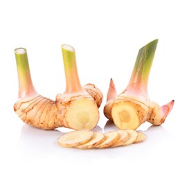 Galangals Galangals